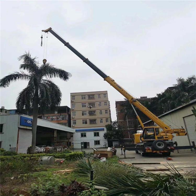 淅川汽车吊出租多少钱？全面解析与市场行情